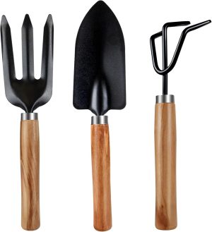3Pcs Tools Lightweight Duty Tools Gardending Hand Tools Kit for Succulents Home